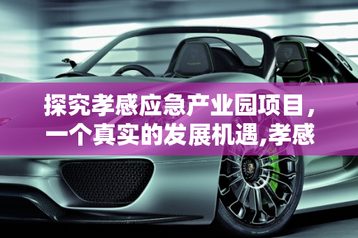 探究孝感应急产业园项目，一个真实的发展机遇,孝感应急产业园项目是真的吗