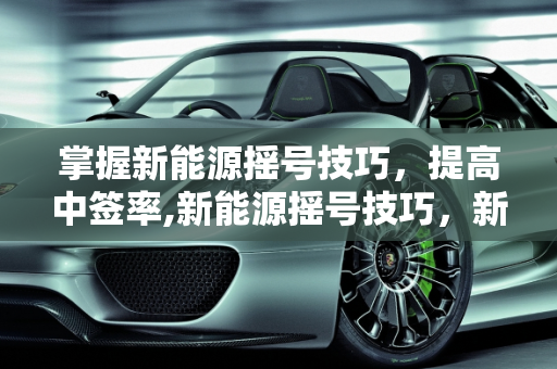 掌握新能源摇号技巧，提高中签率,新能源摇号技巧，新能源摇号