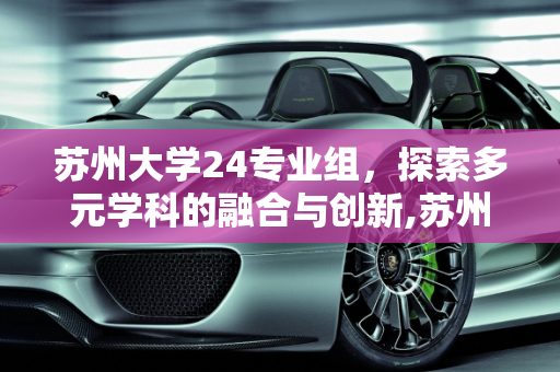 苏州大学24专业组，探索多元学科的融合与创新,苏州大学24专业组是什么