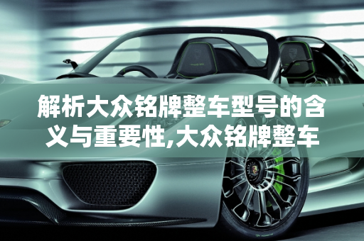 解析大众铭牌整车型号的含义与重要性,大众铭牌整车型号是什么意思