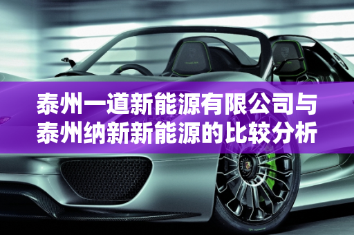 泰州一道新能源有限公司与泰州纳新新能源的比较分析,泰州一道新能源有限公司怎么样,泰州纳新新能源