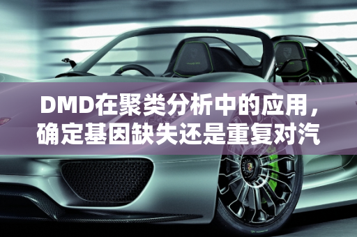 DMD在聚类分析中的应用，确定基因缺失还是重复对汽车故障分析的影响,dmd怎么确定是缺失还是重复，聚类分析汽车故障分析