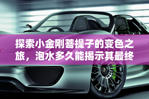 探索小金刚菩提子的变色之旅，泡水多久能揭示其最终颜色？,小金刚泡多久能看出最终颜色