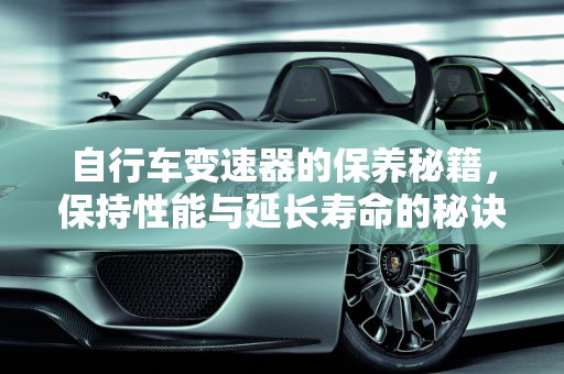 自行车变速器的保养秘籍，保持性能与延长寿命的秘诀,自行车变速器平时应该怎么保养