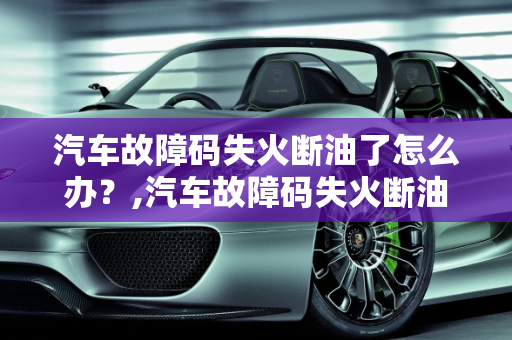 汽车故障码失火断油了怎么办？,汽车故障码失火断油了怎么办