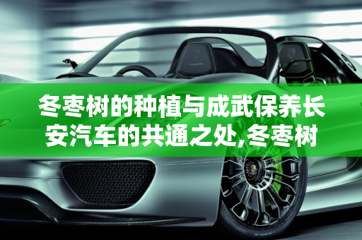 冬枣树的种植与成武保养长安汽车的共通之处,冬枣树每年都要种植吗,成武保养长安汽车
