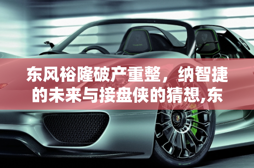 东风裕隆破产重整，纳智捷的未来与接盘侠的猜想,东风裕隆申请破产重整，谁是纳智捷接盘侠