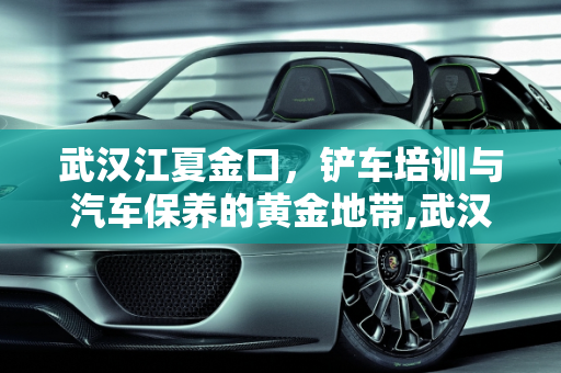 武汉江夏金口，铲车培训与汽车保养的黄金地带,武汉江夏金口附近有培训铲车班，金口镇汽车保养厂
