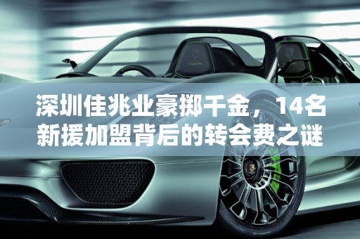 深圳佳兆业豪掷千金，14名新援加盟背后的转会费之谜,土豪！深圳佳兆业一口气签了14名球员，这要花多少转会费