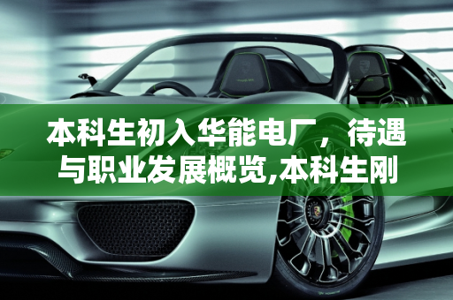 本科生初入华能电厂，待遇与职业发展概览,本科生刚进华能电厂待遇有多少