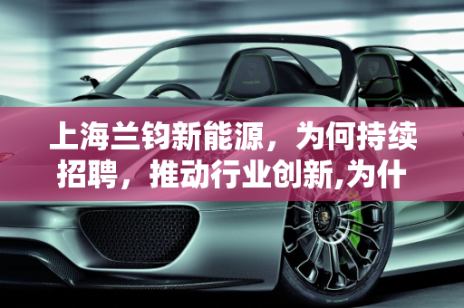 上海兰钧新能源，为何持续招聘，推动行业创新,为什么上海兰钧新能源一直招人