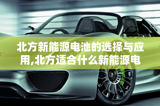北方新能源电池的选择与应用,北方适合什么新能源电池，北方新能源