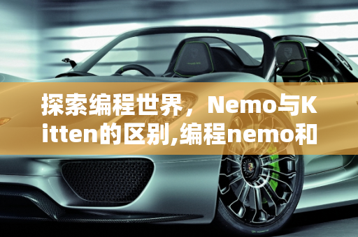 探索编程世界，Nemo与Kitten的区别,编程nemo和kitten的区别