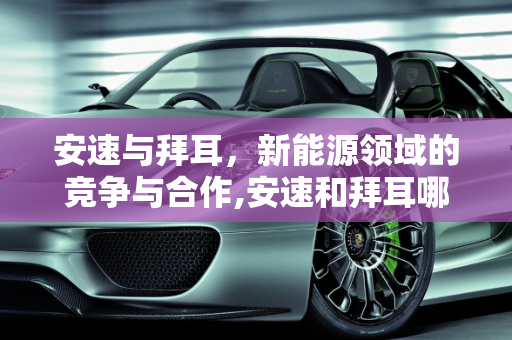 安速与拜耳，新能源领域的竞争与合作,安速和拜耳哪个更好，安速新能源