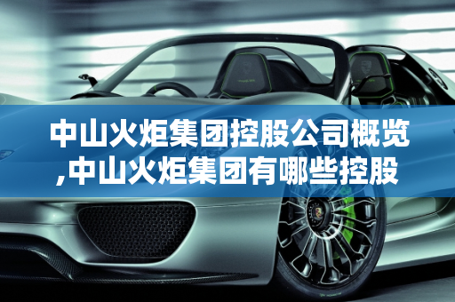 中山火炬集团控股公司概览,中山火炬集团有哪些控股公司