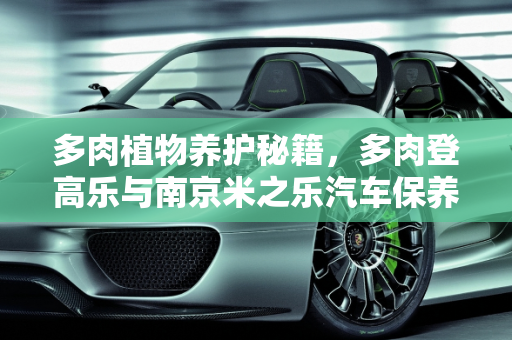 多肉植物养护秘籍，多肉登高乐与南京米之乐汽车保养的完美融合,多肉登高乐怎么养护,南京米之乐汽车保养