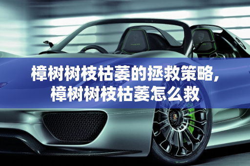 樟树树枝枯萎的拯救策略,樟树树枝枯萎怎么救
