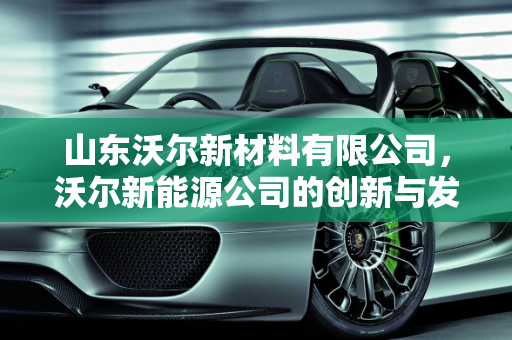 山东沃尔新材料有限公司，沃尔新能源公司的创新与发展潜力,山东沃尔新材料有限公司怎么样，沃尔新能源公司