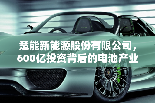 楚能新能源股份有限公司，600亿投资背后的电池产业未来,号称投资600亿生产电池的楚能新能源股份有限公司会有前途吗