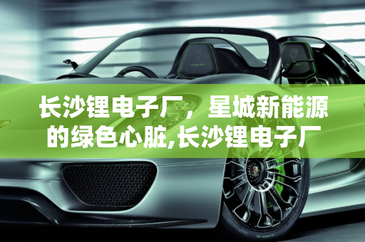 长沙锂电子厂，星城新能源的绿色心脏,长沙锂电子厂是生产什么的,星城新能源