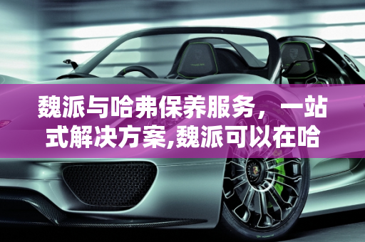 魏派与哈弗保养服务，一站式解决方案,魏派可以在哈弗店里保养吗,长城c30ev去哪保养
