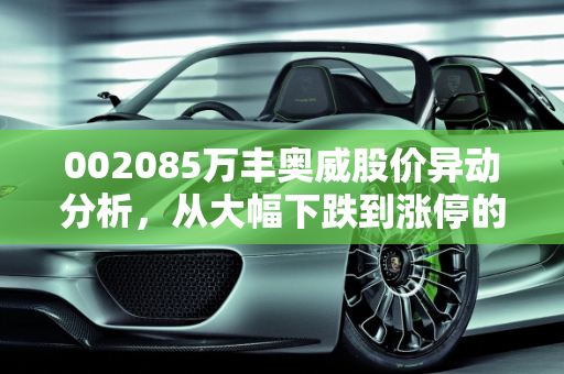 002085万丰奥威股价异动分析，从大幅下跌到涨停的转变预示着什么？,002085万丰奥威，近期一直大幅下跌，今天突然几分钟内拉至涨停，为什么这种情况预示着什么走势