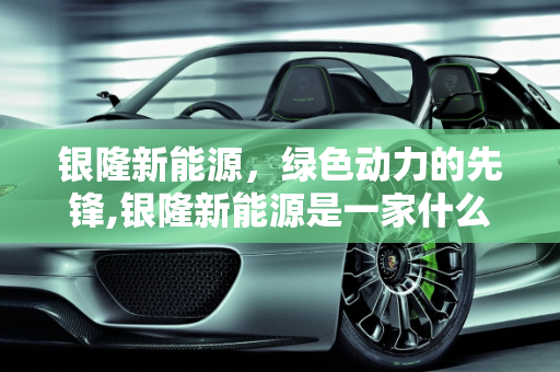 银隆新能源，绿色动力的先锋,银隆新能源是一家什么公司，新能源 银隆