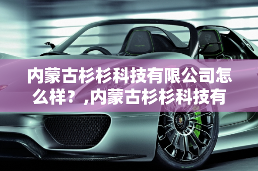 内蒙古杉杉科技有限公司怎么样？,内蒙古杉杉科技有限公司怎么样