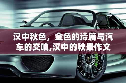 汉中秋色，金色的诗篇与汽车的交响,汉中的秋景作文结尾,汉中庞大汽车报价