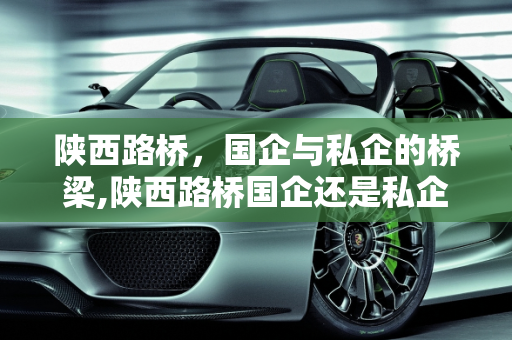 陕西路桥，国企与私企的桥梁,陕西路桥国企还是私企