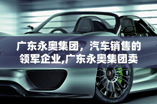 广东永奥集团，汽车销售的领军企业,广东永奥集团卖啥车