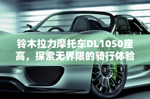 铃木拉力摩托车DL1050座高，探索无界限的骑行体验,铃木拉力摩托车dl1050座高