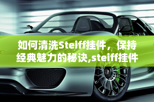 如何清洗Steiff挂件，保持经典魅力的秘诀,steiff挂件如何清洗