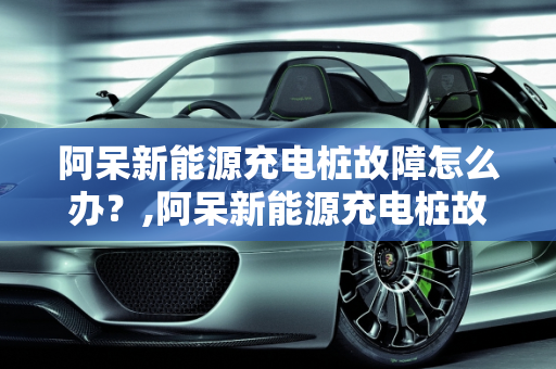 阿呆新能源充电桩故障怎么办？,阿呆新能源充电桩故障怎么办