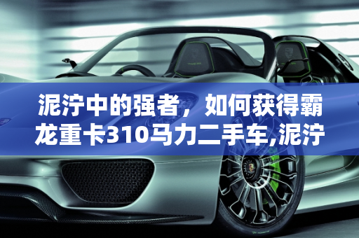 泥泞中的强者，如何获得霸龙重卡310马力二手车,泥泞奔驰怎么获得霸龙重卡，霸龙重卡310马力二手车