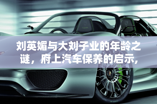 刘英媚与大刘子业的年龄之谜，府上汽车保养的启示,刘英媚大刘子业多少岁，府上汽车保养