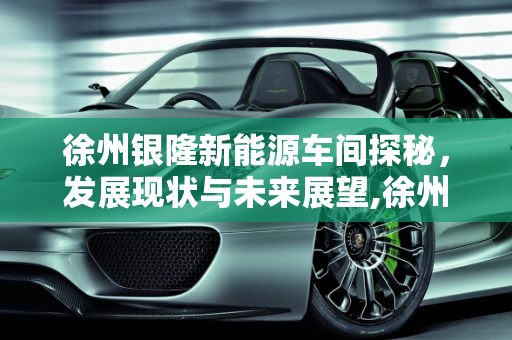 徐州银隆新能源车间探秘，发展现状与未来展望,徐州银隆新能源车间探秘，发展现状与未来展望