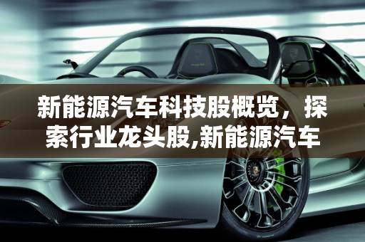 新能源汽车科技股概览，探索行业龙头股,新能源汽车科技股有哪些，新能源汽车股票龙头股