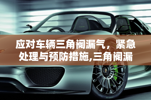 应对车辆三角阀漏气，紧急处理与预防措施,三角阀漏气，车辆如何应对？