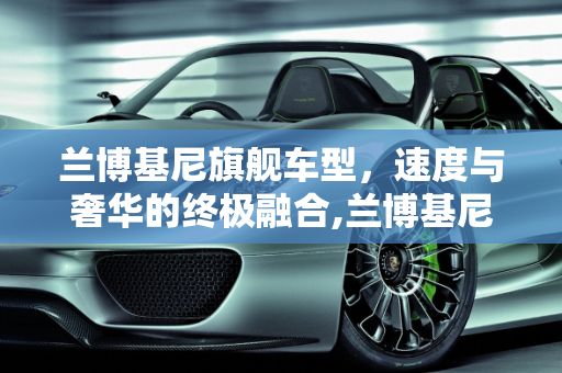 兰博基尼旗舰车型，速度与奢华的终极融合,兰博基尼旗舰车型