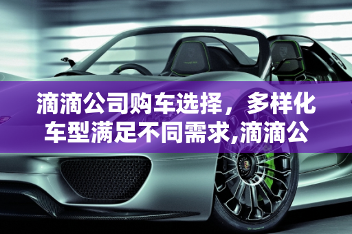 滴滴公司购车选择，多样化车型满足不同需求,滴滴公司买车都有什么车型