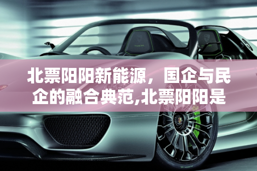 北票阳阳新能源，国企与民企的融合典范,北票阳阳是国企或民企，阳阳新能源