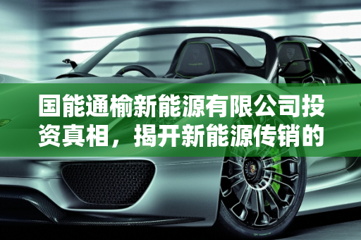 国能通榆新能源有限公司投资真相，揭开新能源传销的面纱,国能通榆新能源有限公司投资是真的吗，新能源传销