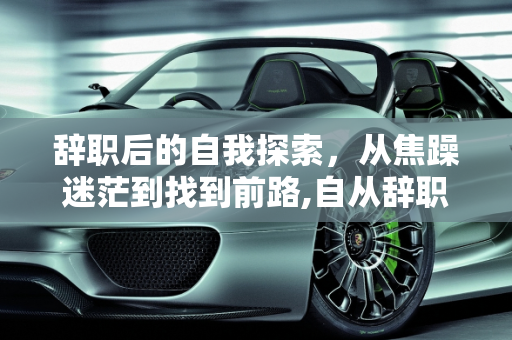 辞职后的自我探索，从焦躁迷茫到找到前路,自从辞职以后发现，自己什么都不会了，焦躁，迷茫，不知前路，有解吗