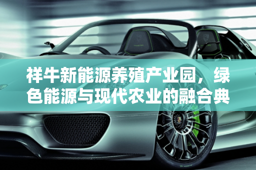 祥牛新能源养殖产业园，绿色能源与现代农业的融合典范,养殖产业园建设内容,祥牛新能源