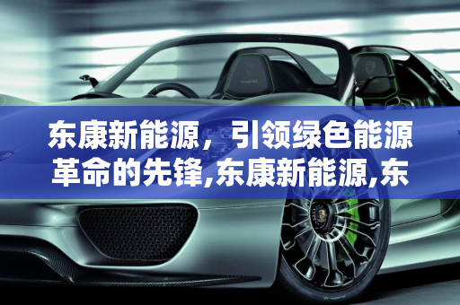 东康新能源，引领绿色能源革命的先锋,东康新能源,东康新能源