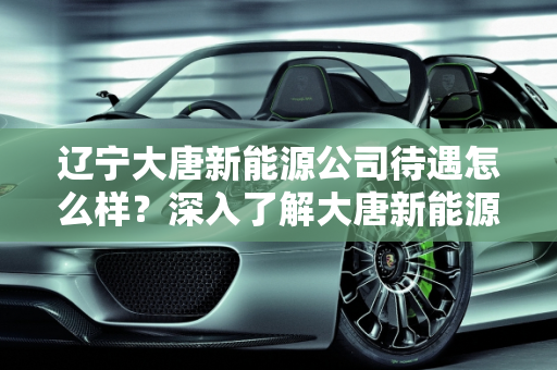 辽宁大唐新能源公司待遇怎么样？深入了解大唐新能源的薪资福利,辽宁大唐新能源公司待遇怎么样，大唐新能源待遇
