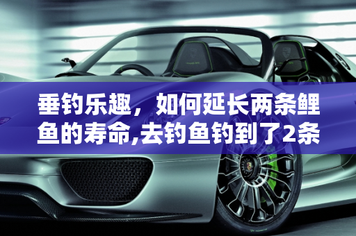 垂钓乐趣，如何延长两条鲤鱼的寿命,去钓鱼钓到了2条鲤鱼，8斤左右怎么养得时间长，氧气打气的，请钓友告诉我好吗！谢谢