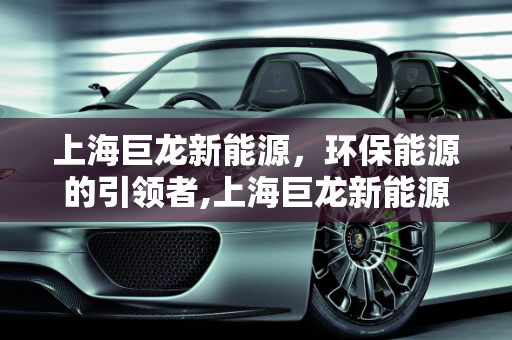 上海巨龙新能源，环保能源的引领者,上海巨龙新能源——环保能源的引领者