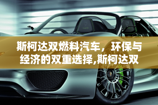 斯柯达双燃料汽车，环保与经济的双重选择,斯柯达双燃料汽车售价